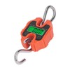 Mini Digital Crane Scale 250kg Range Portable Detachable LCD Display