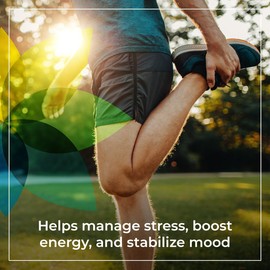 Synergy Holistics | Adrenal Synergy - Supports Energy & Mood - Stress Relief Supplement with Ashwagandha, Holy Basil & Rhodiola - Non-GMO |1-2 Capsules Daily - 90 Veg Caps