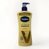 Vaseline Intensive Care Nourishing Moisture Lotion 20oz New