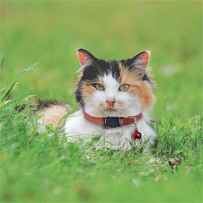 Cat Collar with Bells 6 Pack Reflective Breakaway Collars Safe