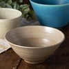 Marui Pottery MR-3-4603 Shigaraki Ware Hechimon Donburi Rice Bowl, Capacity: