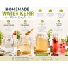 frijoles de kéfir de agua | Culturas para la salud