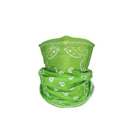 Paisley Bandana Neck Gaiter Tube Headwear Motorcycle Face Scarf - Apple Green
