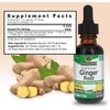 Natural's Answer Ginger Root Drops, 1000mg, Alcohol-Free, 30 ml