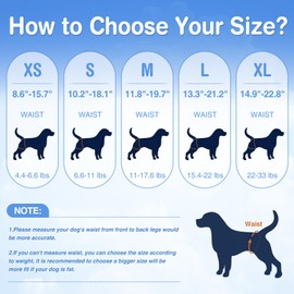 Ambreview Dog Diapers Female, Disposable Pull Up Dog Diapers, Doggie Diapers for Female Dogs, Ultra Absorbent & Anti-Side Leakage, Stretchy Diapers for Dogs in Heat/Elderly/Disabled(XS,10 Count)