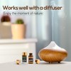 Wtrcsv Essential Oils Gifts Set - 30 Unique Scents -