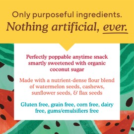 Simple Mills Simple Mills Honey Cinnamon Seed & Nut Flour Sweet Thins, Paleo Friendly & Delicious Sweet Thin Cookies, Good for Snacks, Nutrient Dense, 4.25oz, Pack of 1