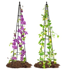 OTOSUNNY Trellis for Climbing Plants, 67" Tall 4-Stake with 4-Tier Braces Plant Pot Trellis, Metal Rose Garden Trellis for Climbing Plants Outdoor Vegetable|Flower|Vine Potted Plants, 2 Pack, Black