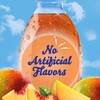 Crystal Light Peach Mango On-The-Go Powdered Drink Mix with Caffeine,