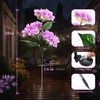 YAODEMA Garden Lights Solar Path Light, LED Solar Powered Outdoor