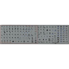 Spanish Latin American Notebook Non-Transparent Keyboard Labels Layout Black, White OR Silver Background (Silver Background)