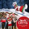 PETCARE Christmas Dog Dress Sweater with Harness Hole Cute Santa