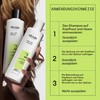 Nioxin Scalp + Hair Thickening System 2 Three Phase Set,