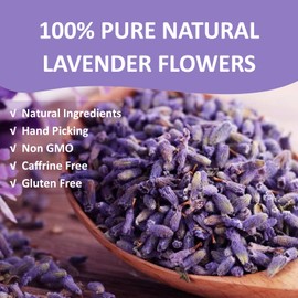 Ovikaso Tea, Lavender Tea, 16 Ounce (1 Lb), 100% Natural Food Grade, For Tea, Baking, Crafts, DIY Beauty, Sachets & Fresh Fragrance, No Sugar, No Caffeine, Loose Leaf, Resealable Kraft Bag