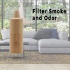Ayrlume Aroma Spearmint Personal Air Filter 2 Pack - Infused
