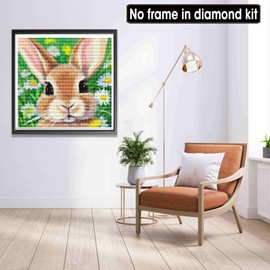 LOMSIOY DIY Diamond Painting Set Rabbit 5D Diamond Painting Pictures Animal with Accessories for Full Drill Rhinestone Embroidery Diamond Painting Crystal Adult Home Wall Decor 30 x 30 cm A