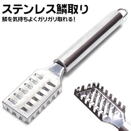 Goods Land GD-UROKO Scale Removal, Scale Removal, Fish Scale Removal, Stainless Steel, Kitchen Utensils