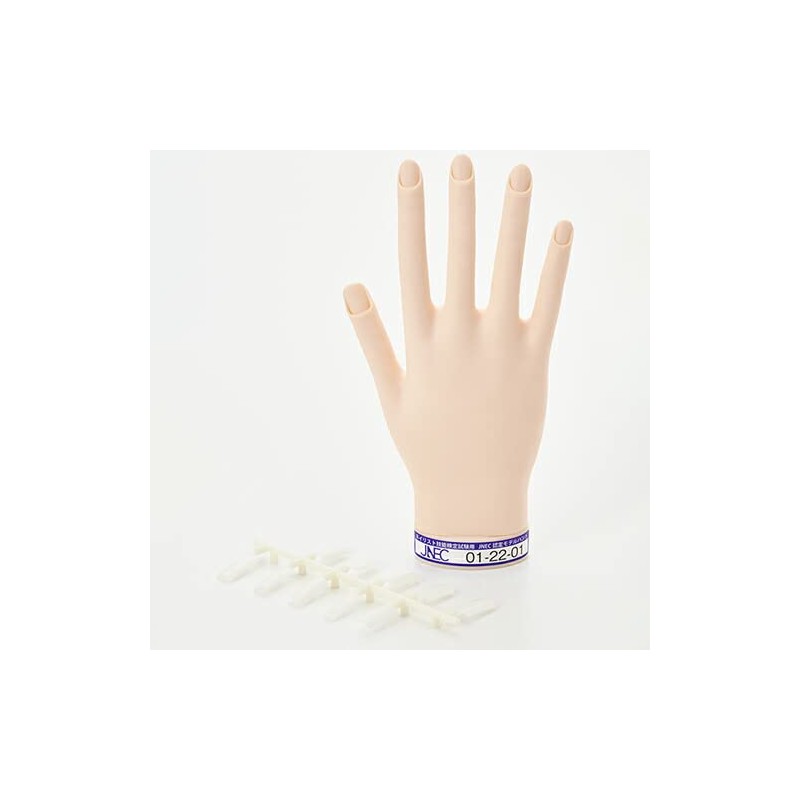 ST Model Hand, Right Hand (JNEC Phase 1 Certified Model