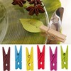 Pegs Pack of 12 Approx. 3.5 cm Wood Apple Green