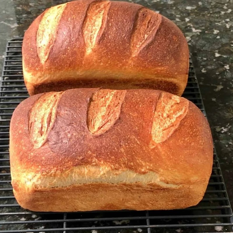 Heritage Sourdough Dehydrated Sourdough Starter 1849 Boudin Baker's San Francisco