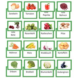 LYSCO Picture Cards Vegetables Vocabulary Cards Flashing Cards Both Sides Foil Laminated Pack of 16