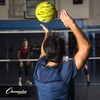 Champion Sports Training Volleyball - Multiple Sizes