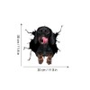 Fabisup Dachshund Riss 3D Car Sticker Decoration for SUV Windows,