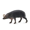 CollectA Sulawesi Babirusa