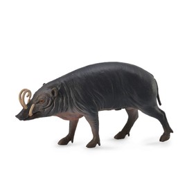 CollectA Sulawesi Babirusa