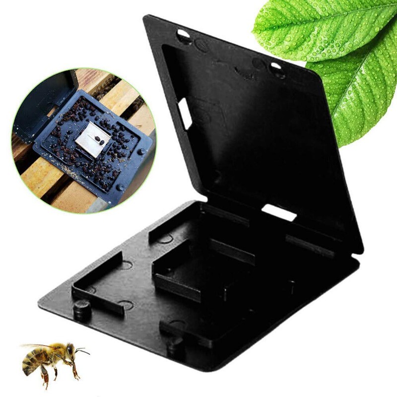 10 Pack Beehive Beekeeping Tools Case for Bee Hive, Beekeeping