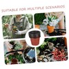 BESPORTBLE 20pcs Garden Nursery Pots Decorative Plastic Flower Pots Holes