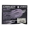 イズム(ism) ワーム CARVER 3/8oz #07 フラッシングブラック.