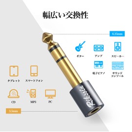 3.5mm to 6.35mm Conversion Plug RIKSOIN (Set of 2) Stereo Mini Plug (Female) to Stereo Standard Plug (Male) Earphone Jack Converter 24K Gold-Plated, Suitable for Headphones, Amplifiers, Electronic