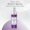 Expressive Scent 6 oz Lavendar Fragrance Room Spray