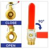 ERGAOBOY 2 x 1/2 inch BSP male thread on brass