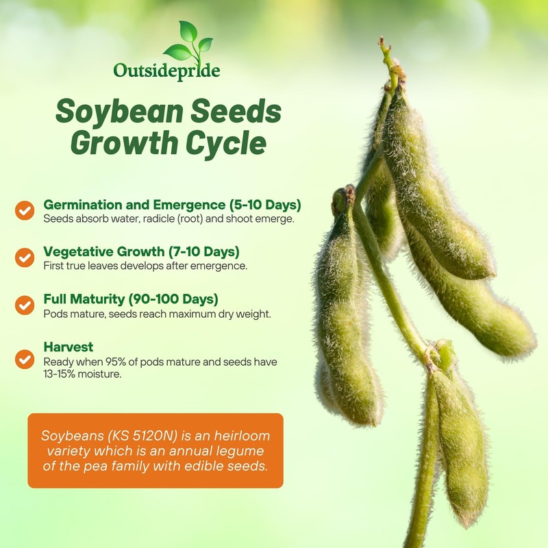 Outsidepride Soybean Seeds - 10 lbs High-Protein & High Yield