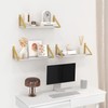 Cilinta Clear Shelves, Gold Floating Shelves Wall Mounted Set of