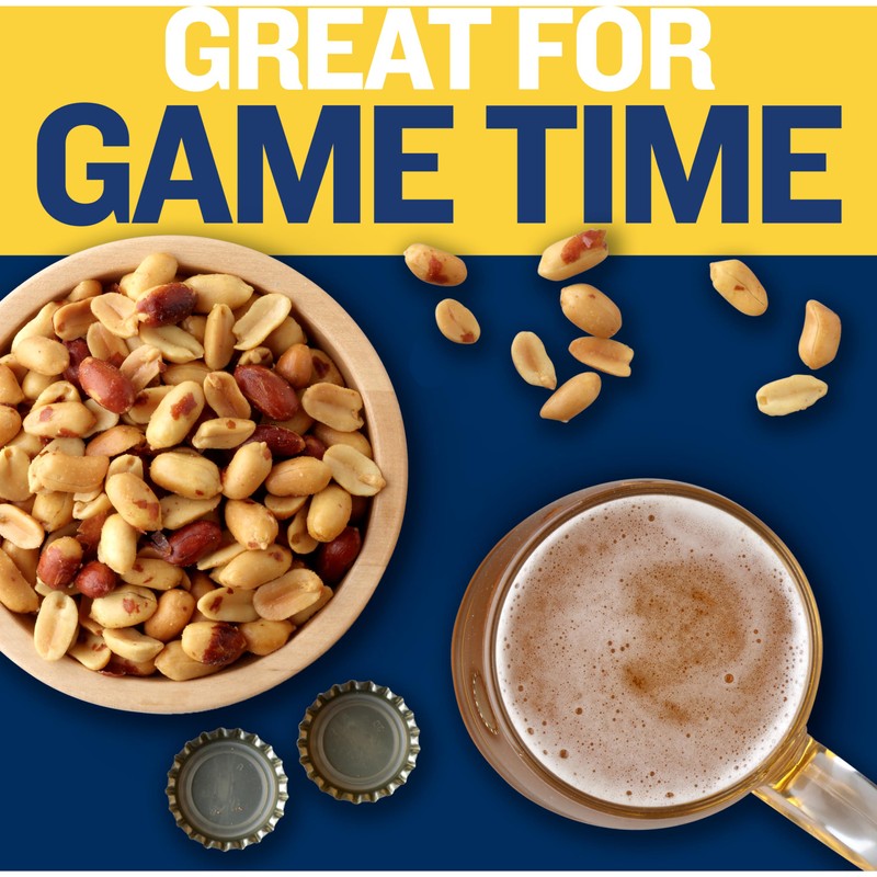 PLANTERS Dry Roasted Peanuts, Plant-Based Protein, Lightly Salted, Peanut Snack,