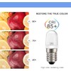 Ruiandsion E10 LED Bulb 120V AC Screw Base LED Replacement