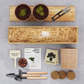 Bonsai Tree Kit for Beginners - 5 Unique Japanese Bonsai Seeds, DIY Indoor Gardening Crafts for Adults | Valentine's, Mother's Day & Birthday Gifts for Women and Men | Complete Starter Kit with Tools