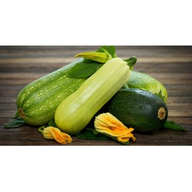 NIKA SEEDS - Vegetable Zucchini Summer Mix - 30 Seeds