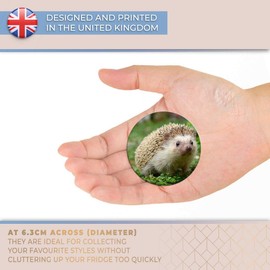 Destination Vinyl ltd Magnet for Refrigerator, Fridge - Cute Hedgehog Animal Garden Wildlife for Office, Cabinet and Whiteboard, Magnetic Stickers, 8205