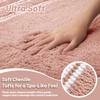 Tyrot Bathroom Rugs Non Slip Washable 24x17, Ultra Soft Super