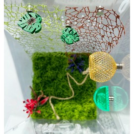 Okueejur 6 Pcs Jumping Spider Accessories Set - Jumping Spider Habitat with Hemp Rope, Jumping Spider Leaf-Shaped Ledges, 2PcsJumping Spider Web for Jumping Spider Enclosure