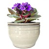 Dphagesy African Violet Pots Self Watering Round Ceramic Violet Pot