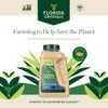Florida Crystals Raw Cane Sugar, 48 oz (3 lb) Jug