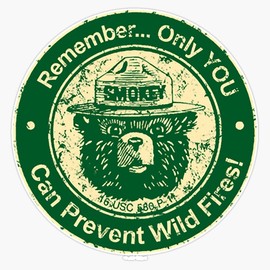 Smokey Bear Only You Green Seal! Sticker Bumper Sticker Vinyl Decal 5"