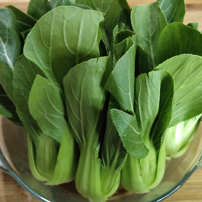 ATLAS Brassica -Atlas Crisp