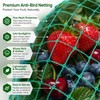 Garden Bird Netting for Plant Protection – Cut-to-Fit PE Mesh
