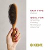 Kent LC22 Finest Hair Brushes for Women Detangler Dry Brush
